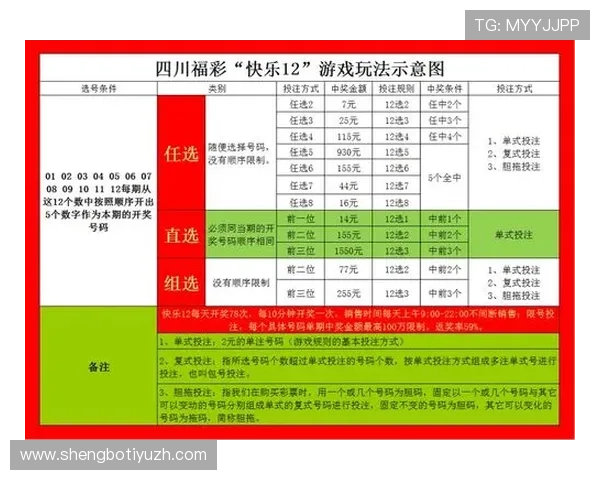 中欧体育买球网导航介绍多样化的投注方式和玩法满足不同用户的个性化需求和娱乐体验